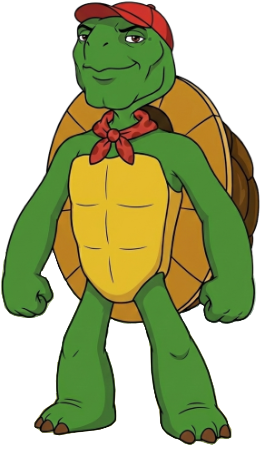 Turtle hero